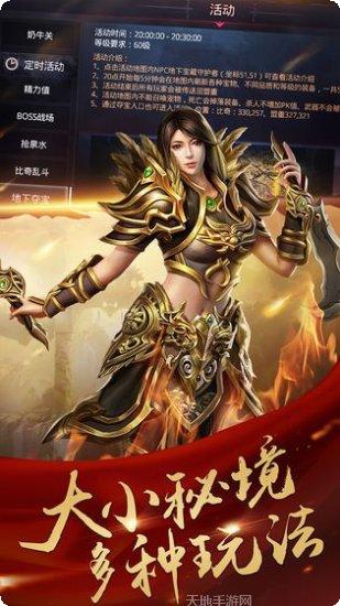 单职业霸王玩法