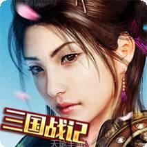 真三国战记