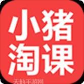 小猪淘淘
