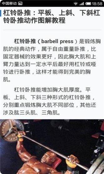 7分钟健身计划