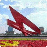大鱼德州安卓版