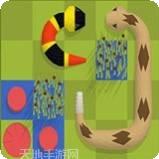一条蛇撞方块