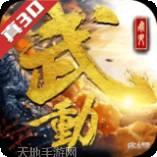 武动六界BT高倍跨服版