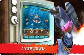 饥饿鲨进化攻略