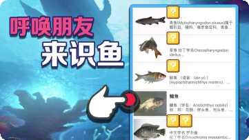 北野棋牌玩法介绍