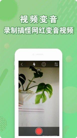 实时变声器免费版