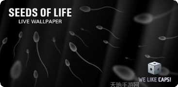 小蝌蚪寻亲记攻略