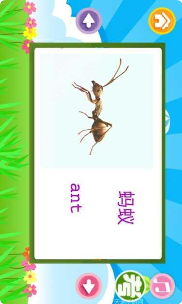 儿童英语培训学习资料