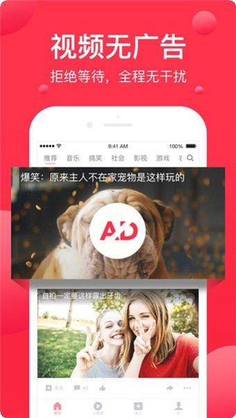 百万英雄答题助手下载