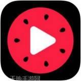 百万英雄答题辅助器