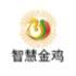 智慧金寨