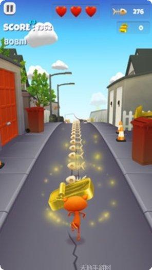 宠物猫狗交流社区