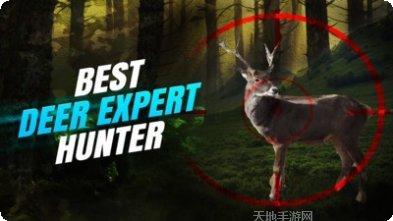 野鹿狩猎射击技巧分享