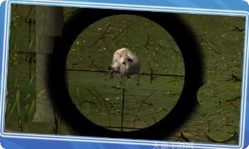 丛林真实猎杀动物冒险