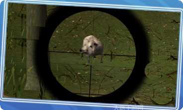 丛林真实猎杀动物游戏攻略