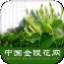 中国金银花网