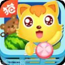 猫小帅水果拼盘