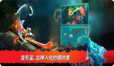 饥饿鲨精华最新官网手机版大全