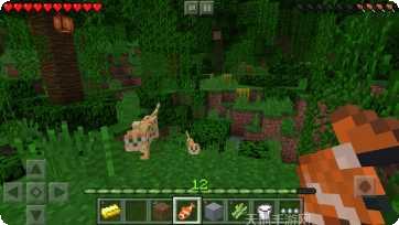 我的世界夏季版客服指定所有官方版