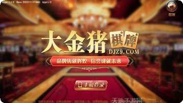 金猪互娱手机版大全