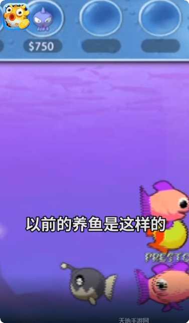 欢乐赚金版游戏攻略