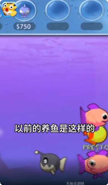 欢乐赚金版任务大全