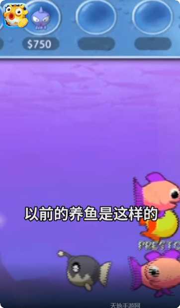 欢乐赚金版攻略