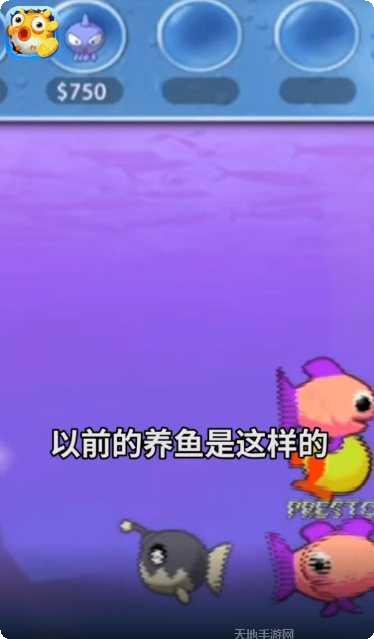 欢乐赚金版下载