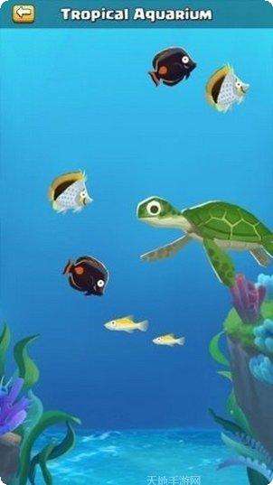 海洋公园世界游戏攻略