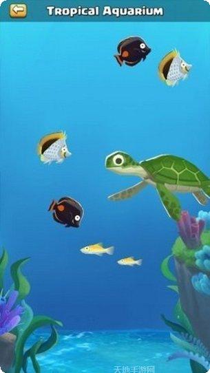 海洋公园世界最新版本