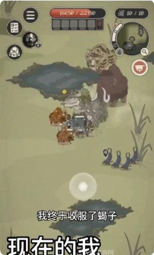 动物森林网络版下载地址