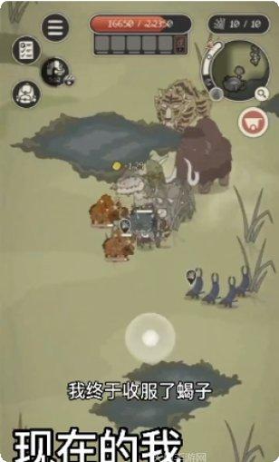 动物森林网络版社区