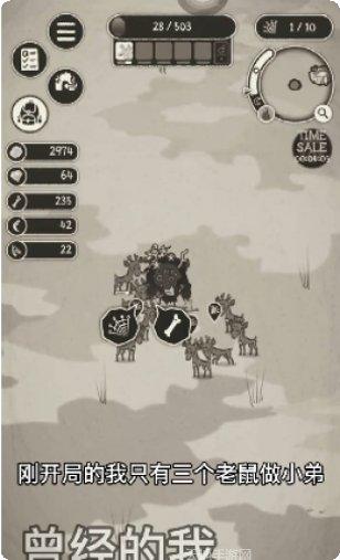 动物森林网络版宠物系统