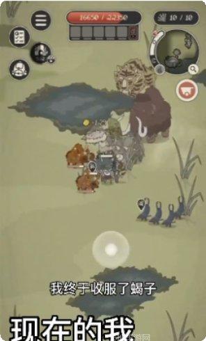 动物森林网络版攻略