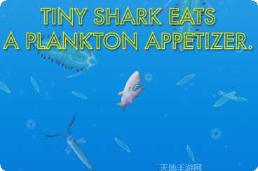 海洋生物拼图大全