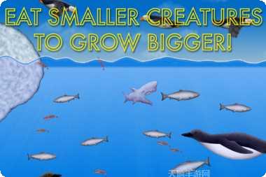 海洋生物拼图攻略大全