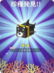 海洋生物拼图最新版本