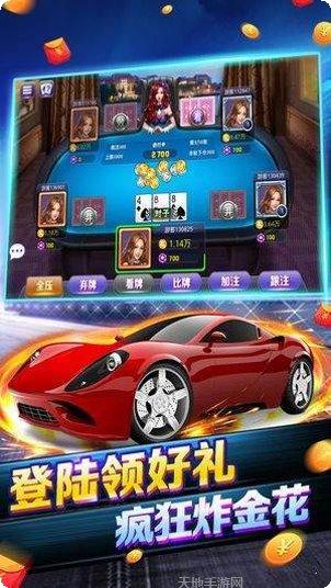 走兽飞禽棋牌玩法