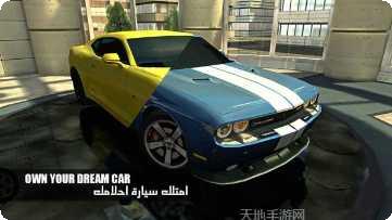 shadow knight游戏攻略