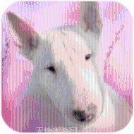 百灵斗牛游戏下载