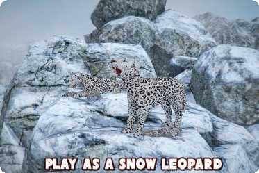 愤怒的老奶奶奔跑攻略