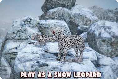 愤怒的老奶奶奔跑攻略