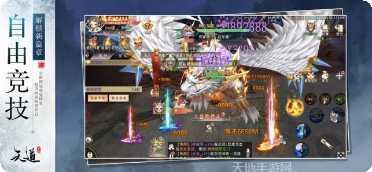 天仙道至尊技能搭配