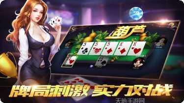 213棋牌下载安卓版