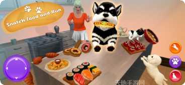 我的虚拟宠物熊猫养成攻略