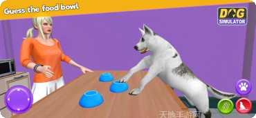 我的虚拟宠物熊猫养成攻略