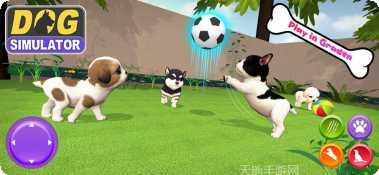 我的虚拟宠物熊猫互动玩法