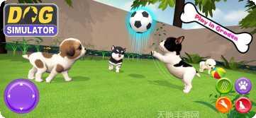 我的虚拟宠物熊猫怎么玩