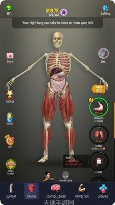 放置人生模拟最新版本