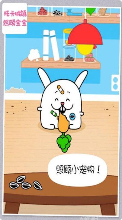 托卡城镇植物玩法介绍